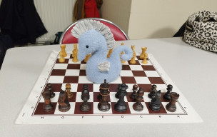 Championnat Départemental Jeune